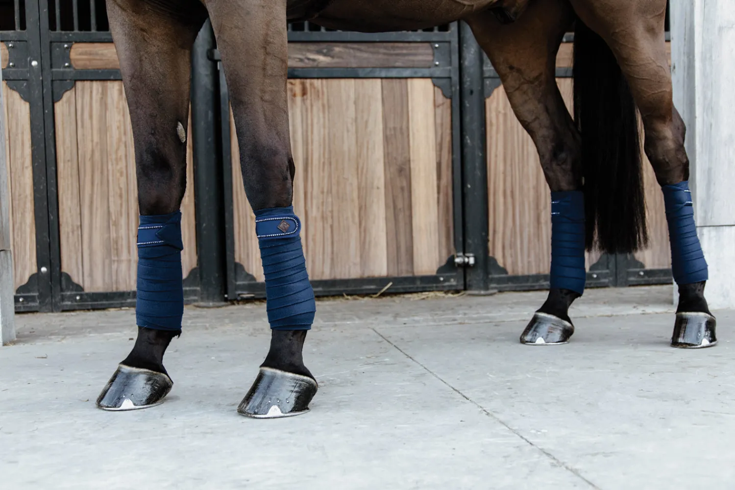 KENTUCKY HORSEWEAR Pearl Polo Wraps New