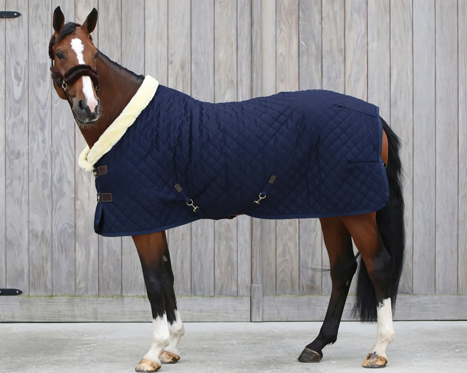 KENTUCKY HORSEWEAR Show Rug Navy Online
