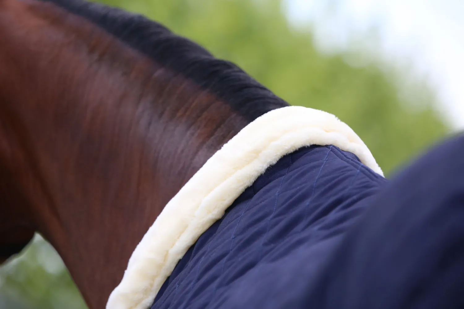 KENTUCKY HORSEWEAR Show Rug Navy Online