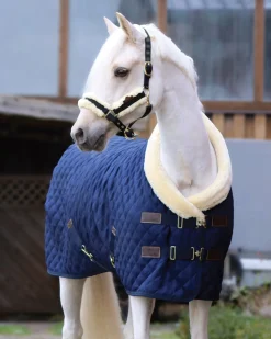 KENTUCKY HORSEWEAR Show Rug Navy Online