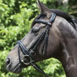KIEFFER SATTLERWAREN Kieffer Perseus Snaffle Bridle with Plain Browband Black