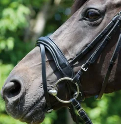 KIEFFER SATTLERWAREN Kieffer Perseus Snaffle Bridle with Plain Browband Black