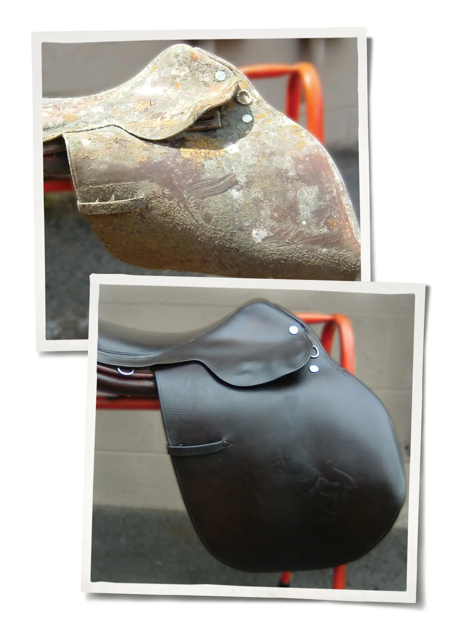 ANIMAL HEALTH INT Leather Therapy® Restorer & Conditioner™ Clearance