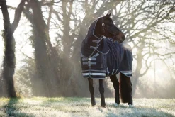 HORSE HEALTH TRADE LeMieux® Arika Storm-Tek 350 Gram Turnout Blanket Navy Clearance