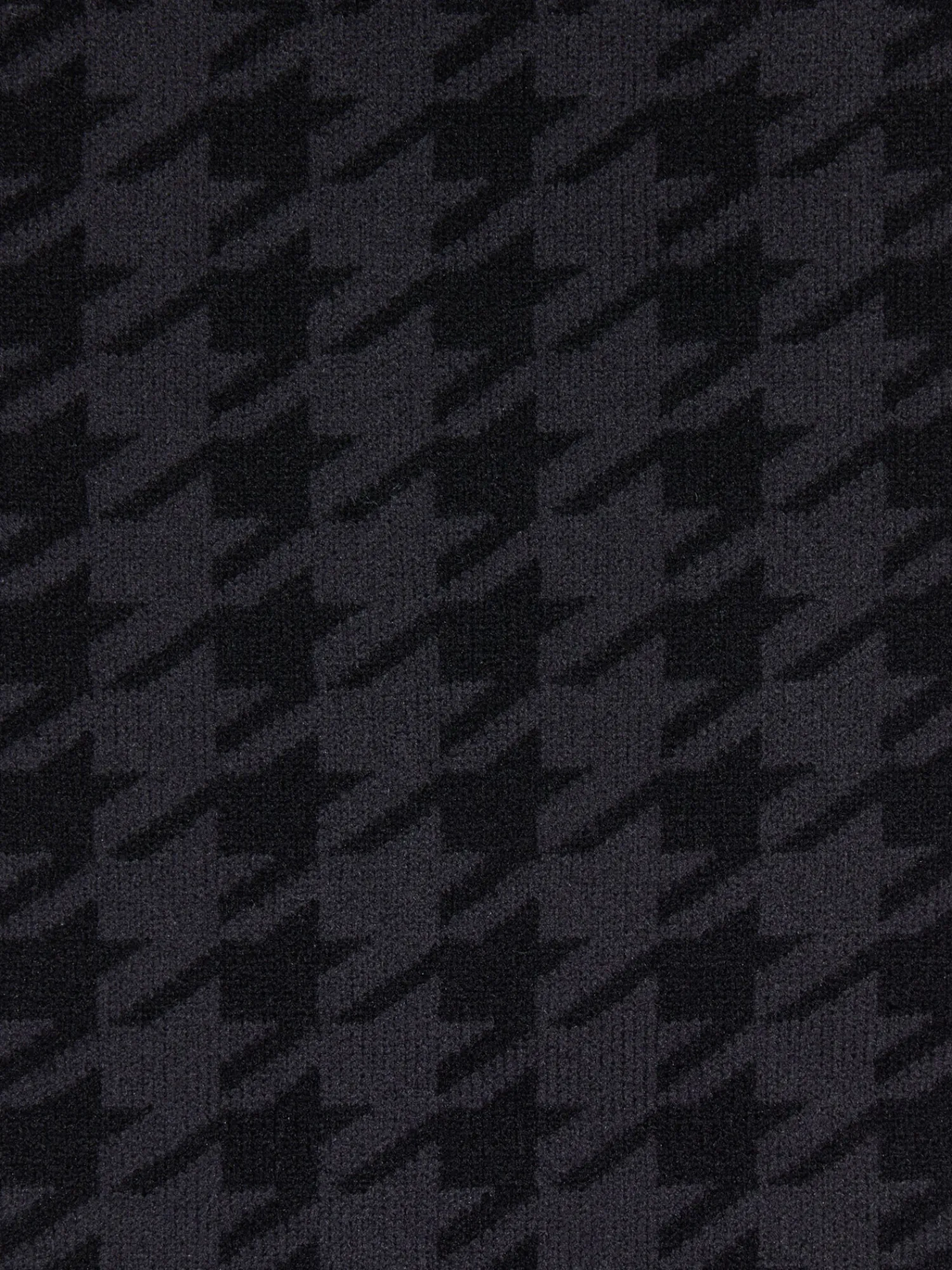 HORSE HEALTH TRADE LeMieux® Aspen Collection Sock New