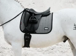 HORSE HEALTH TRADE LeMieux® Aspen Dressage Saddle Pad Best
