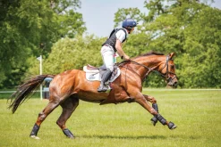 HORSE HEALTH TRADE LeMieux® Ballistic Overreach Boots Black Best