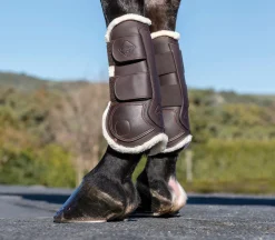 HORSE HEALTH TRADE LeMieux® Capella Comfort Tendon Boots Online