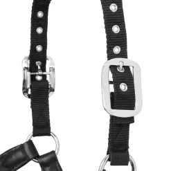 HORSE HEALTH TRADE LeMieux® Capella Halter Black Hot
