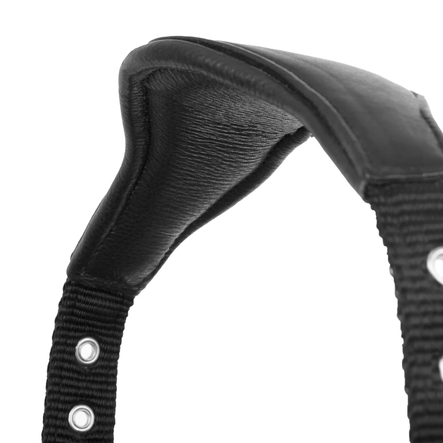 HORSE HEALTH TRADE LeMieux® Capella Halter Black Hot
