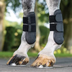HORSE HEALTH TRADE LeMieux® Capella Tendon Boots Outlet