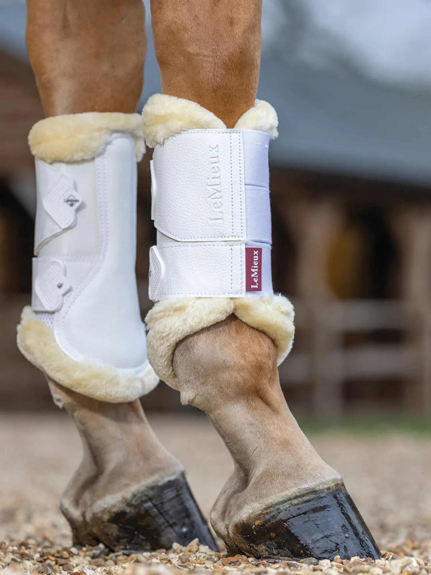 HORSE HEALTH TRADE LeMieux® Fleece-Lined Mesh Brushing Boots Best