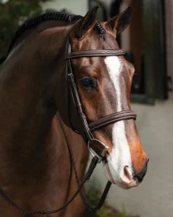 HORSE HEALTH TRADE LeMieux® Hunter-Stitched Bridle Havana Clearance