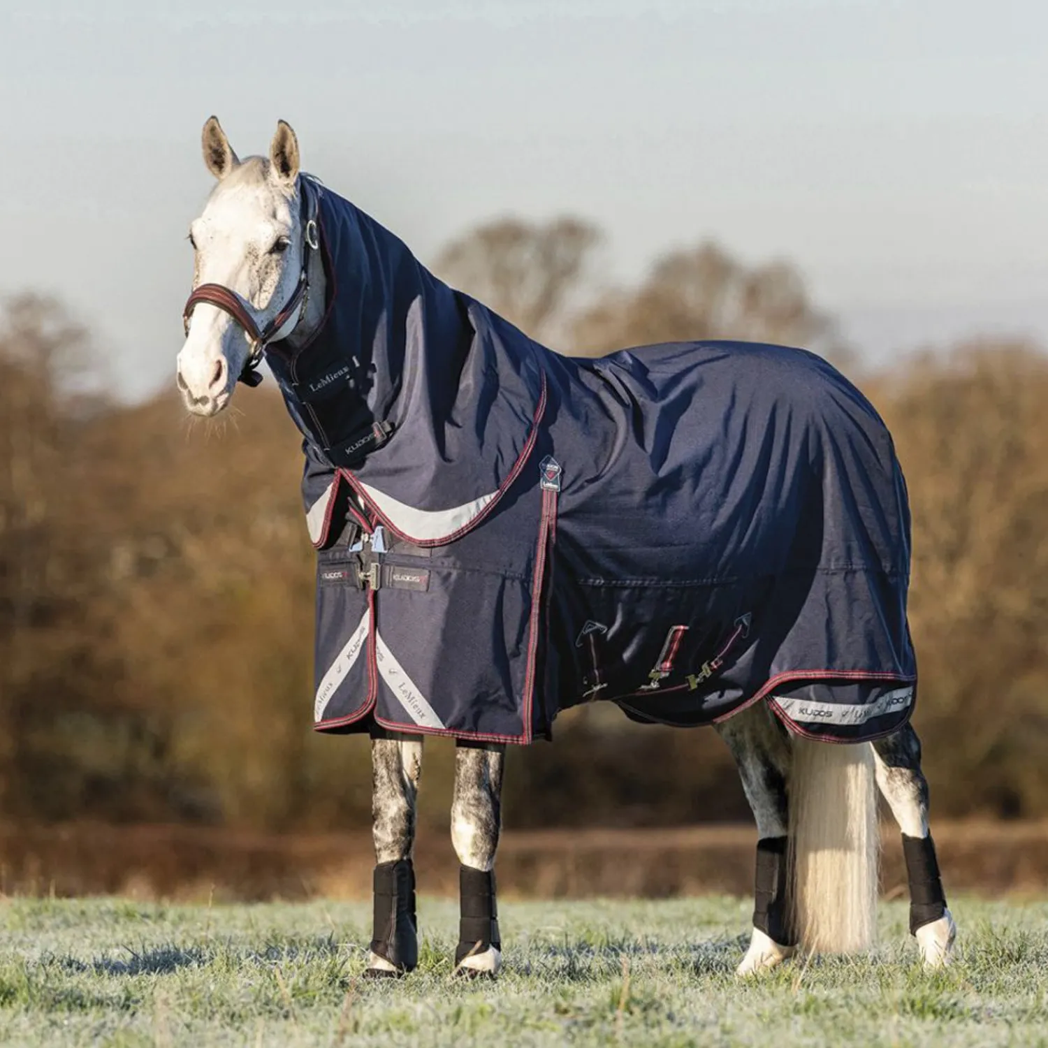HORSE HEALTH TRADE LeMieux® Kudos 200 Gram Turnout Blanket with Leg Straps Navy Best