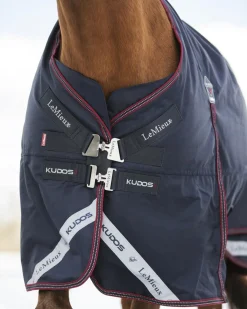 HORSE HEALTH TRADE LeMieux® Kudos 200 Gram Turnout Blanket with Leg Straps Navy Best