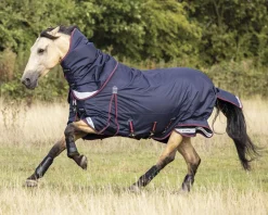 HORSE HEALTH TRADE LeMieux® Kudos 100 Gram Turnout Blanket with Leg Straps Navy Sale