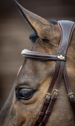 HORSE HEALTH TRADE LeMieux® Kudos Competition Flash Bridle Outlet