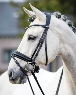 HORSE HEALTH TRADE LeMieux® Kudos Dressage Flash Bridle Black Online