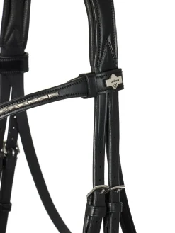 HORSE HEALTH TRADE LeMieux® Kudos Dressage Flash Bridle Black Online