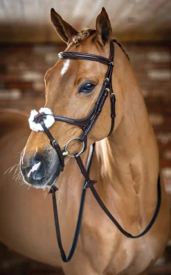 HORSE HEALTH TRADE LeMieux® Kudos Figure-8 Bridle Best