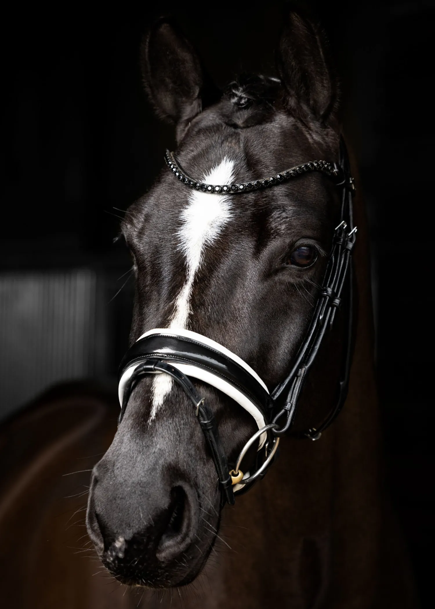 HORSE HEALTH TRADE LeMieux® Kudos Patent Leather Dressage Bridle Sale