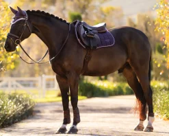 HORSE HEALTH TRADE LeMieux® Loire Classic Close Contact Saddle Pad Sale