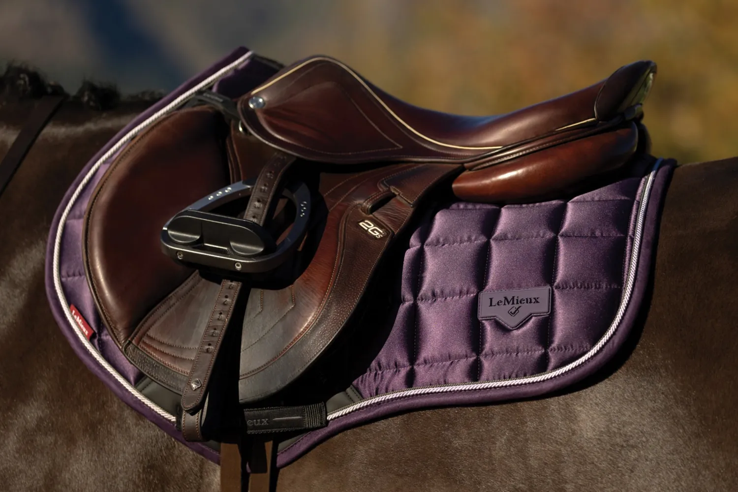 HORSE HEALTH TRADE LeMieux® Loire Classic Close Contact Saddle Pad Sale