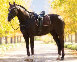 HORSE HEALTH TRADE LeMieux® Loire Classic Dressage Saddle Pad New