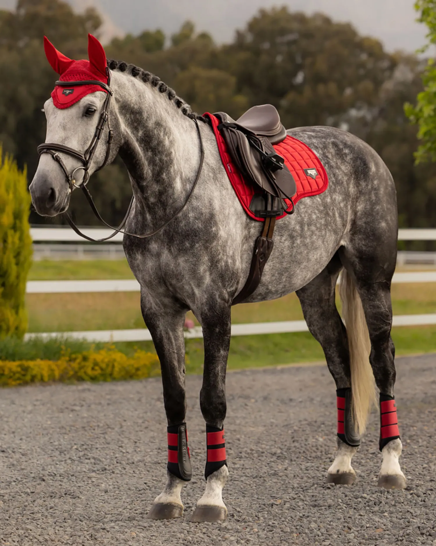 HORSE HEALTH TRADE LEMIEUX® LOIRE GP SADDLE PAD Online