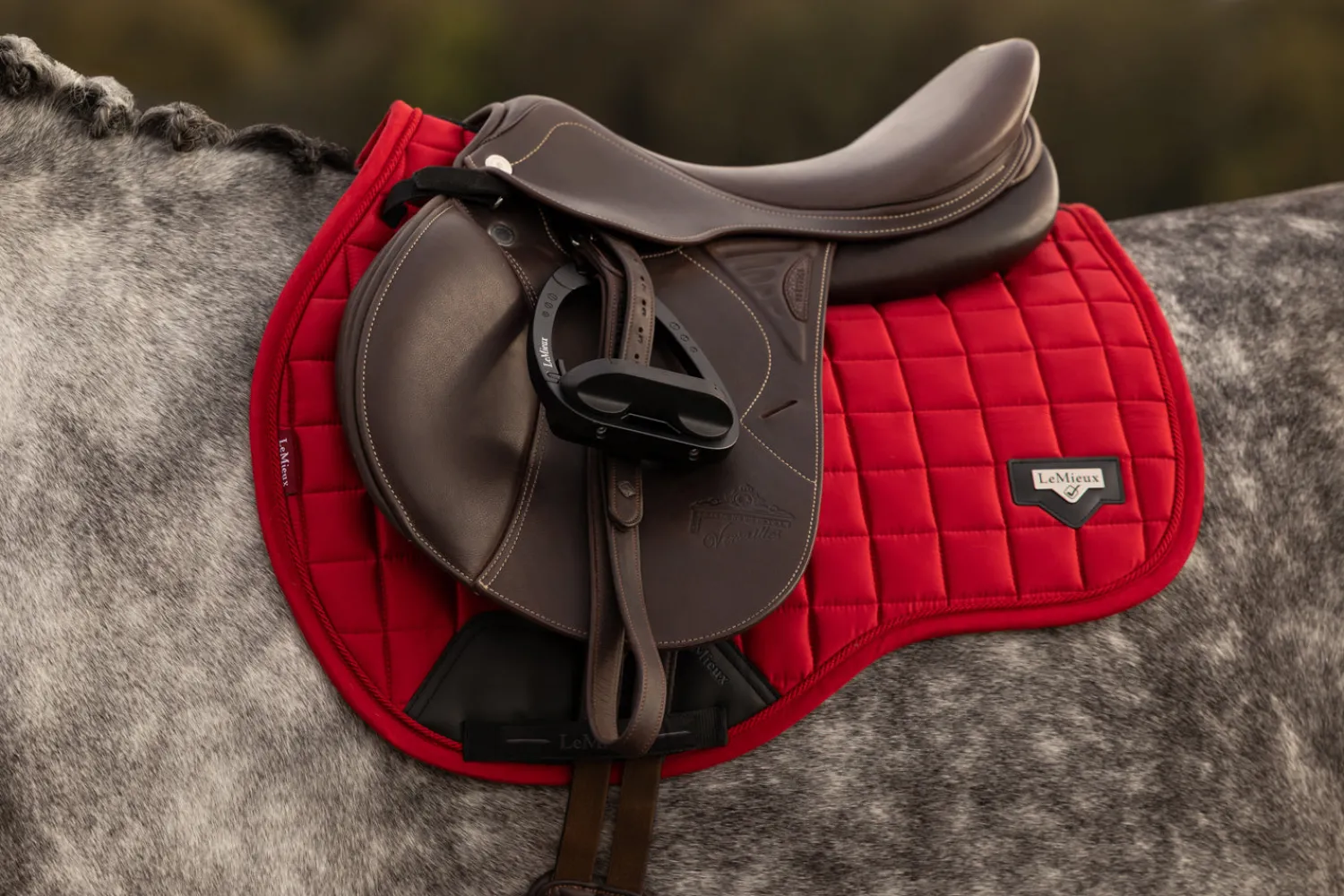 HORSE HEALTH TRADE LEMIEUX® LOIRE GP SADDLE PAD Online