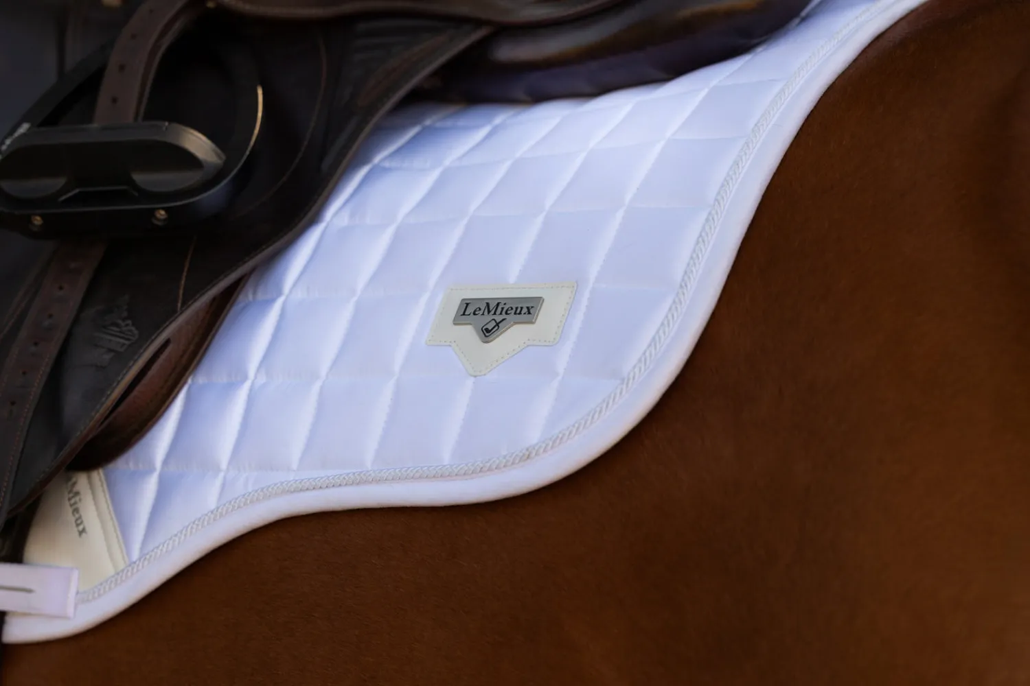 HORSE HEALTH TRADE LEMIEUX® LOIRE GP SADDLE PAD Online