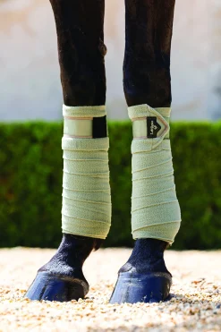 HORSE HEALTH TRADE LeMieux® Loire Polo Wraps Online