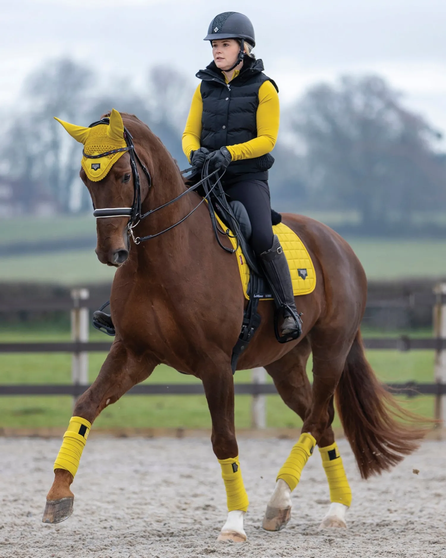 HORSE HEALTH TRADE LeMieux® Loire Satin Polo Bandages Outlet