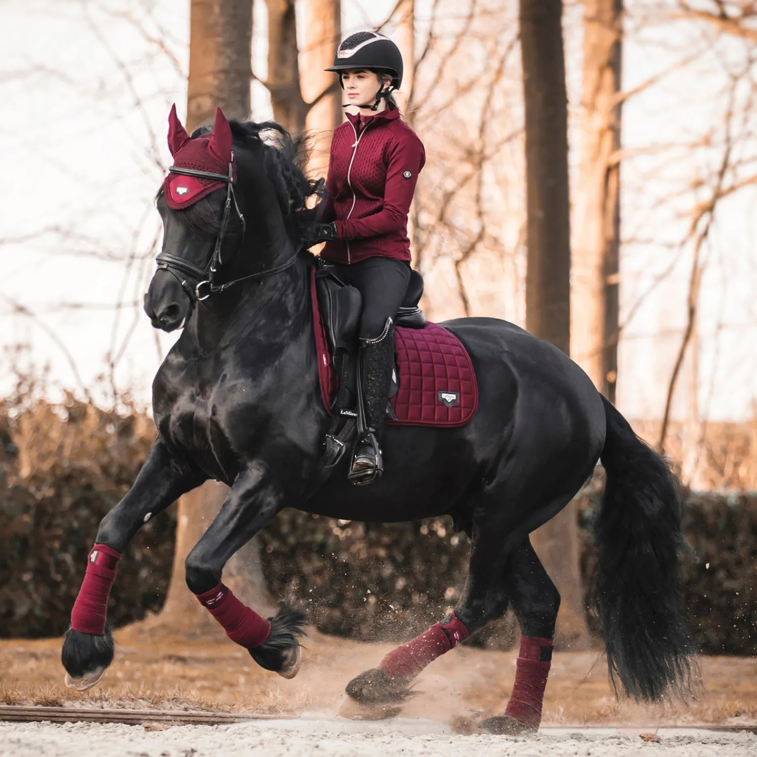 HORSE HEALTH TRADE LeMieux® Loire Satin Polo Bandages Outlet