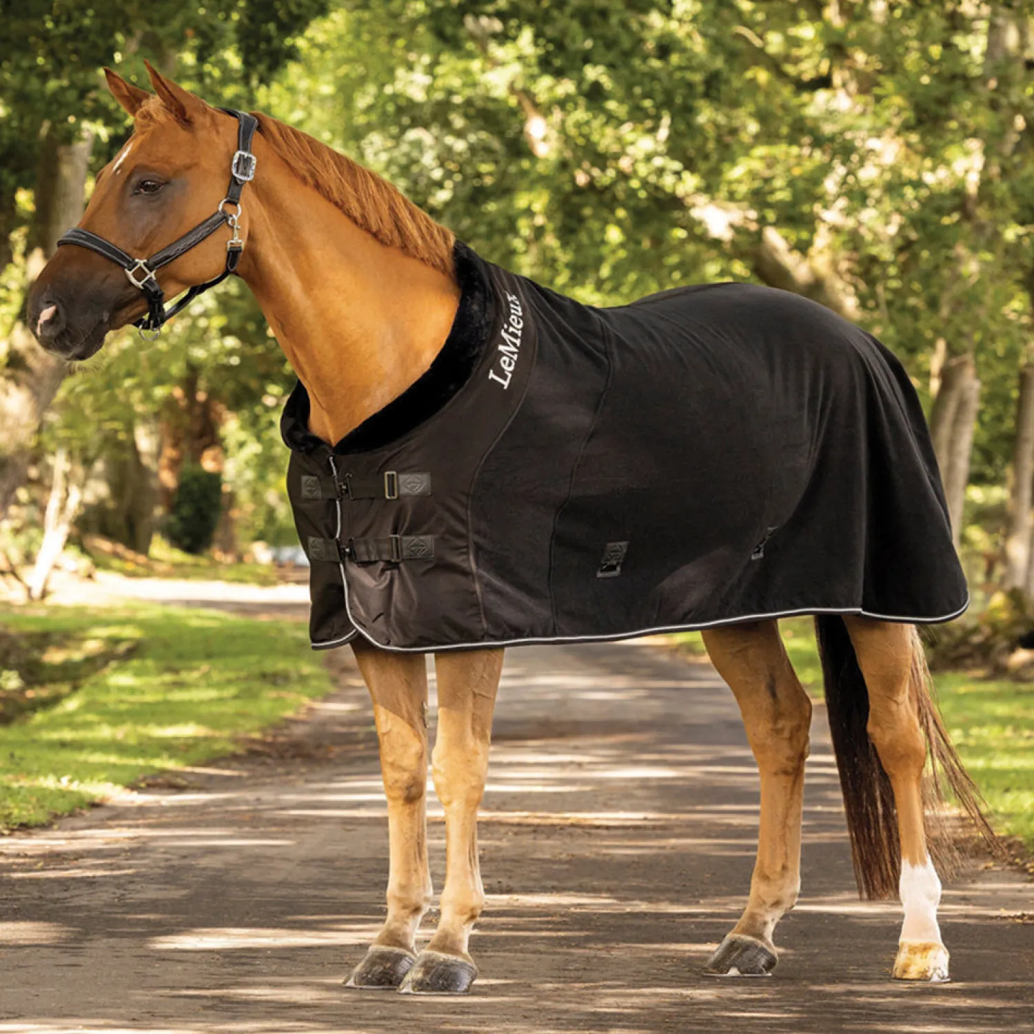 HORSE HEALTH TRADE LeMieux® Luxe Fleece Rug Best