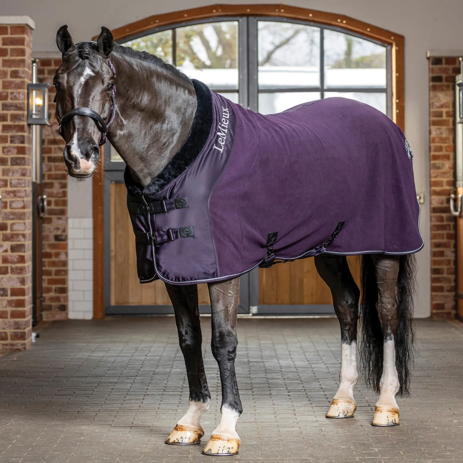 HORSE HEALTH TRADE LeMieux® Luxe Fleece Rug Best