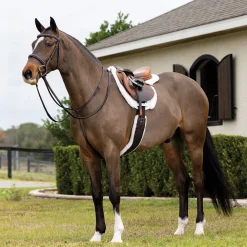 HORSE HEALTH TRADE LeMieux® Merino+ Hunter Saddle Pad White/White Best