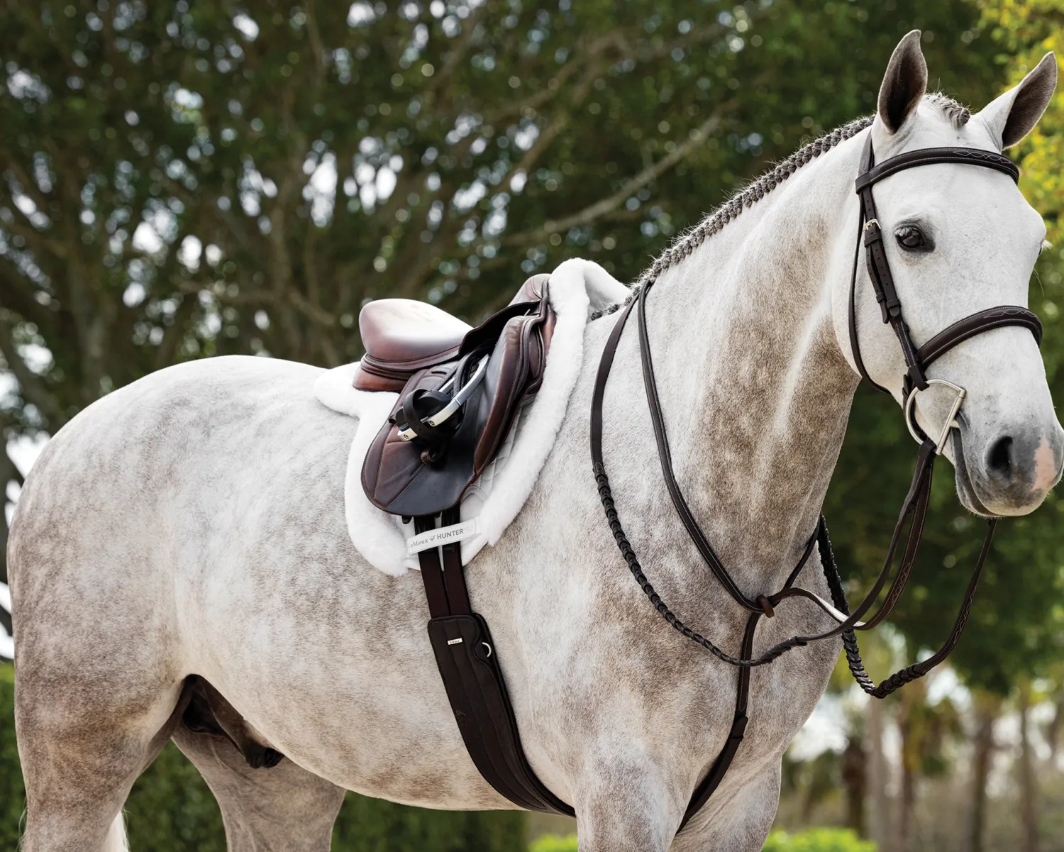 HORSE HEALTH TRADE LeMieux® Merino+ ProSorb Hunter Saddle Pad White/White Hot