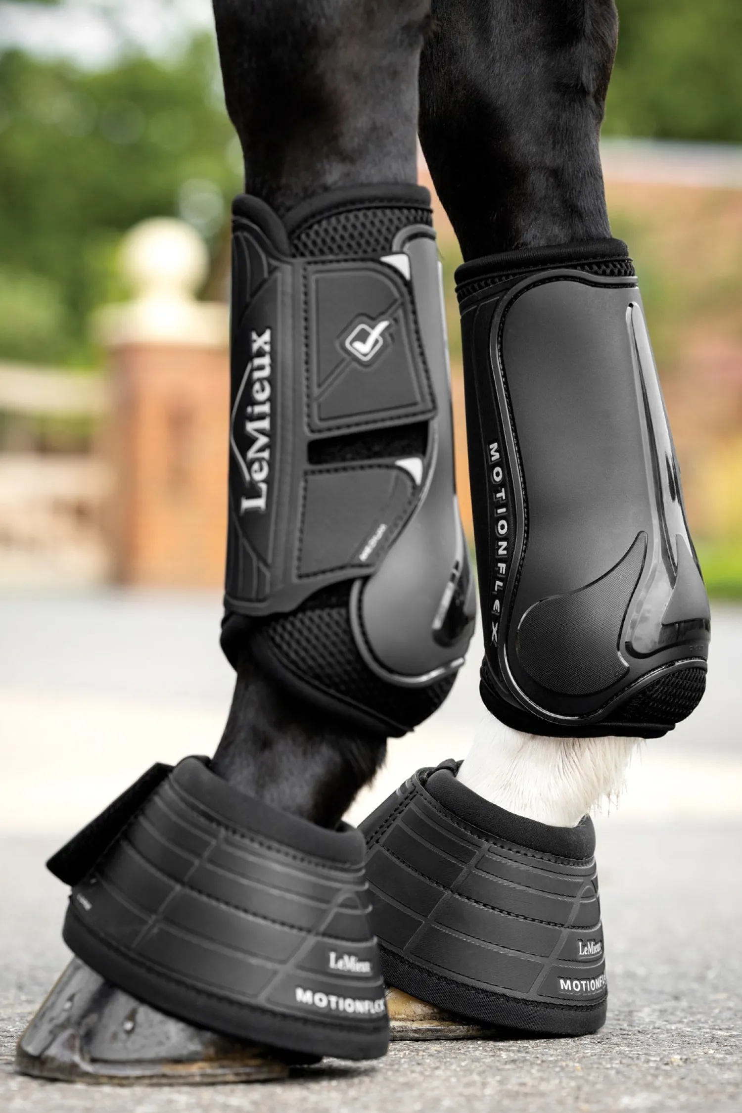 HORSE HEALTH TRADE LeMieux® Motionflex Dressage Boots