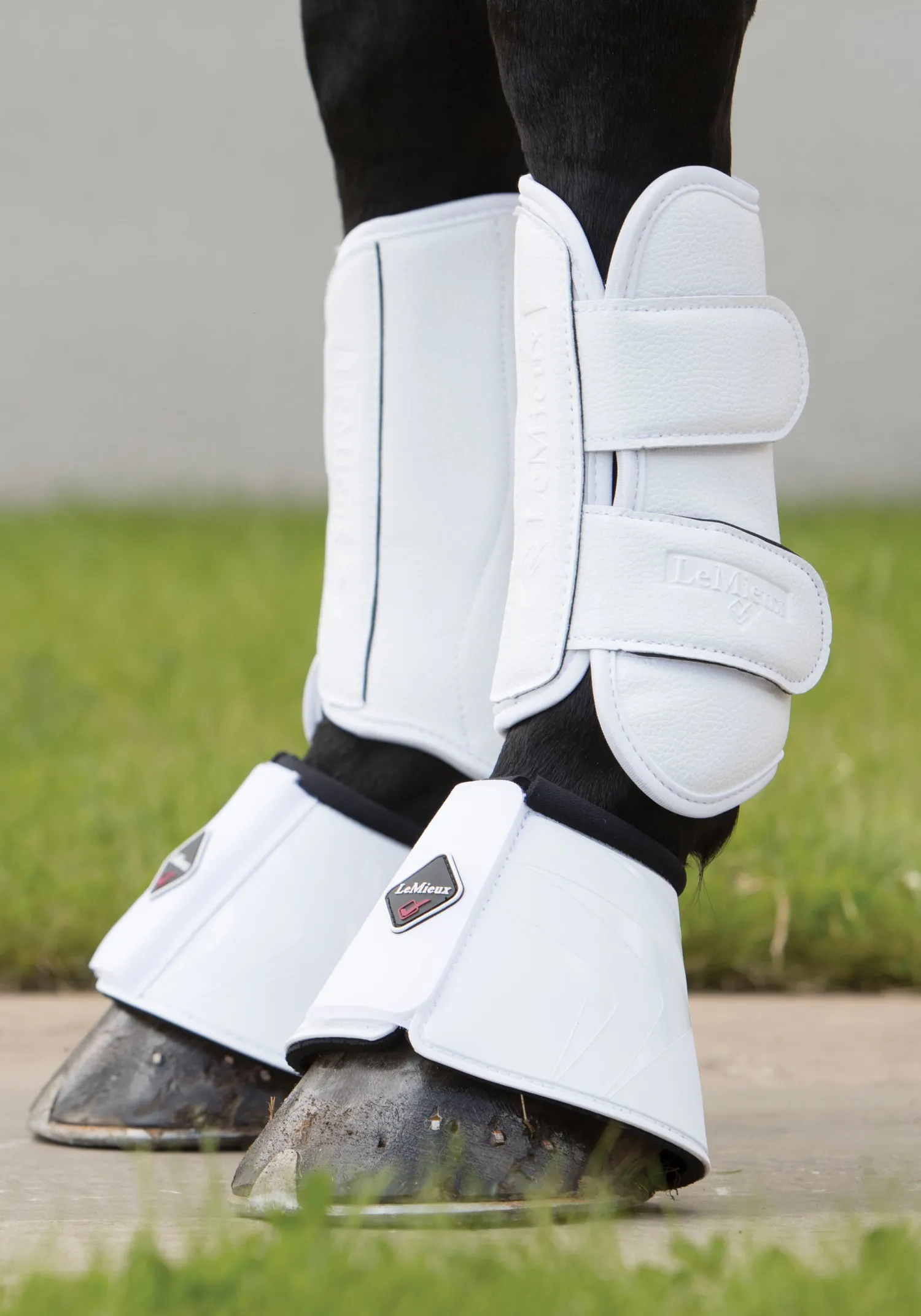 HORSE HEALTH TRADE LeMieux® Pro Schooling Boots New