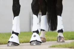 HORSE HEALTH TRADE LeMieux® Pro Schooling Boots New