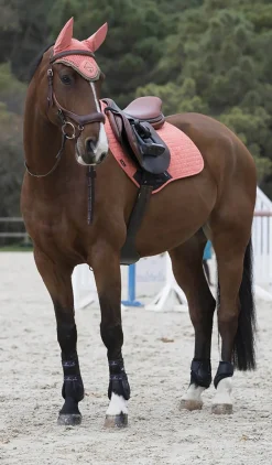 HORSE HEALTH TRADE LeMieux® Suede Close Contact Square Pad Best