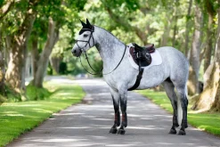 HORSE HEALTH TRADE LeMieux® Suede GP Saddle Pad Discount