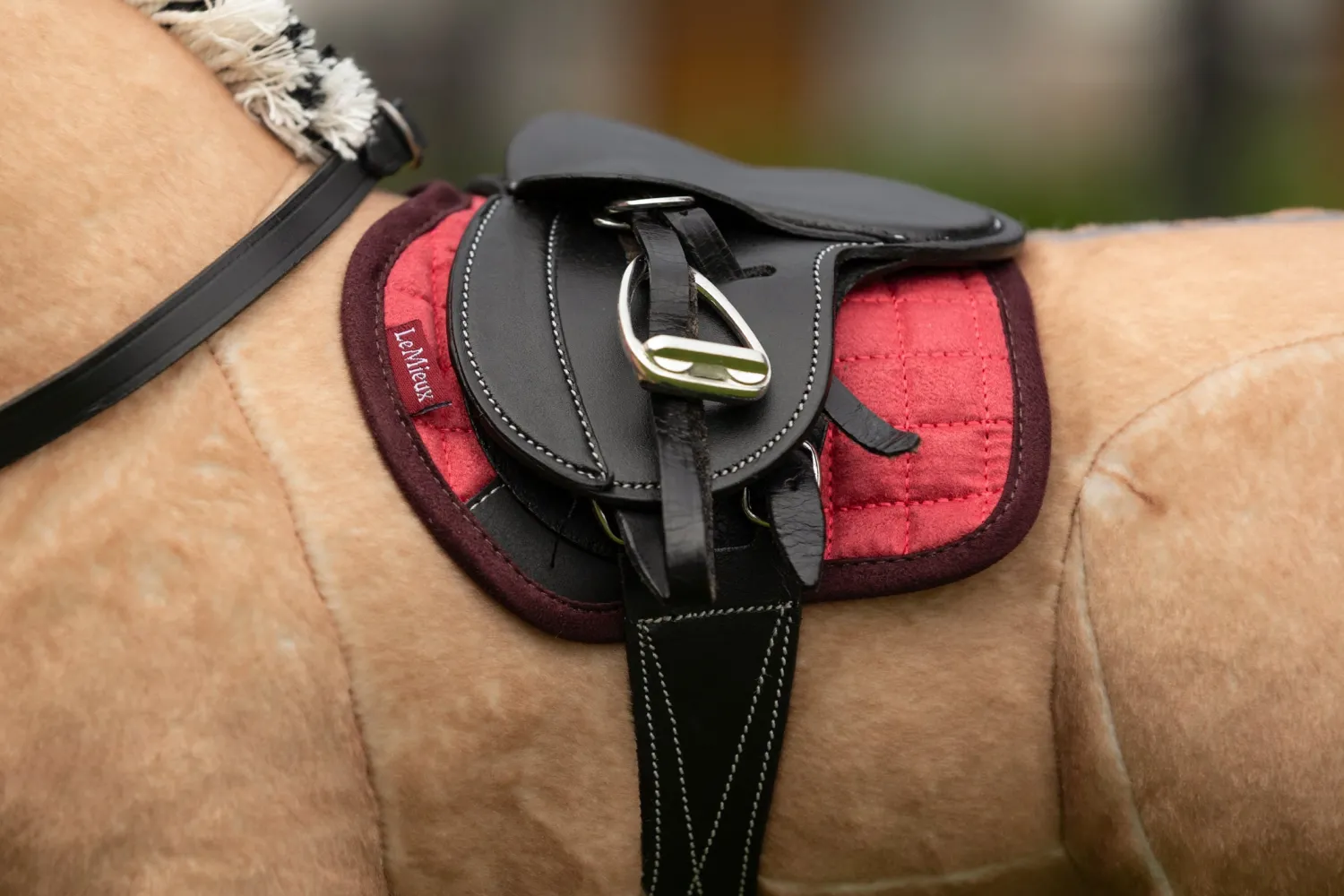 HORSE HEALTH TRADE LeMieux® Toy Pony Saddle Pad Clearance