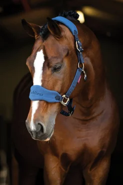 HORSE HEALTH TRADE LeMieux® Vogue Halter & Lead Rope Set Sale