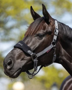 HORSE HEALTH TRADE LeMieux® Vogue Halter & Rope Lead Set Discount