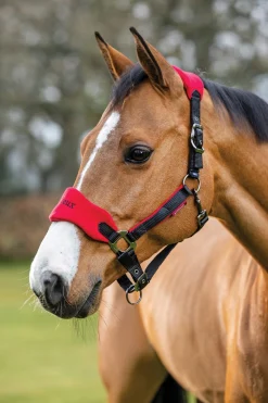 HORSE HEALTH TRADE LeMieux® Vogue Halter & Rope Lead Set Discount