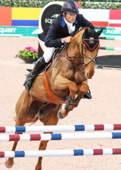 MAJYK EQUIPE ® Stadium Front Jump Boots with Arti-Lage™ Impact Technology Hot