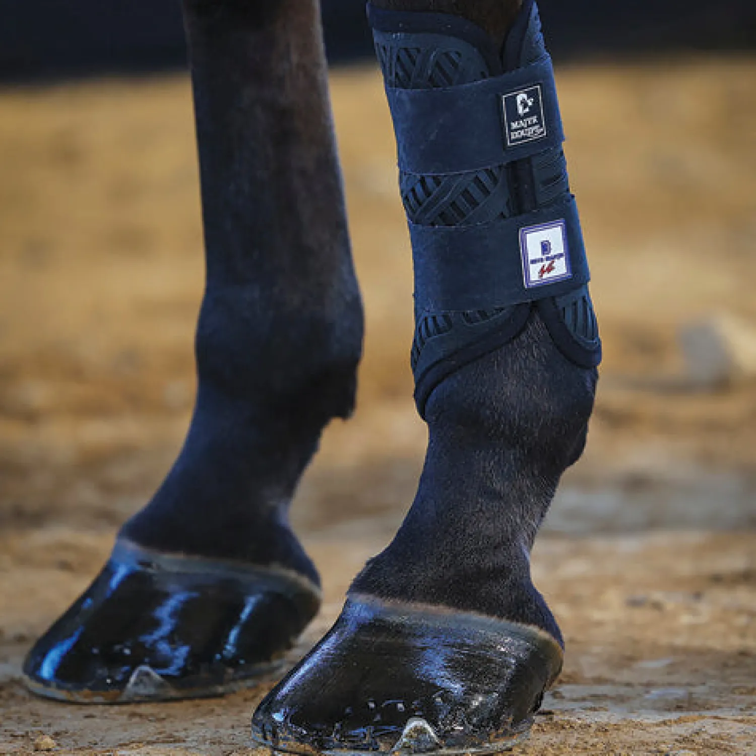 MAJYK EQUIPE ® XC Elite Front Boots with Arti-Lage™ Technology Best