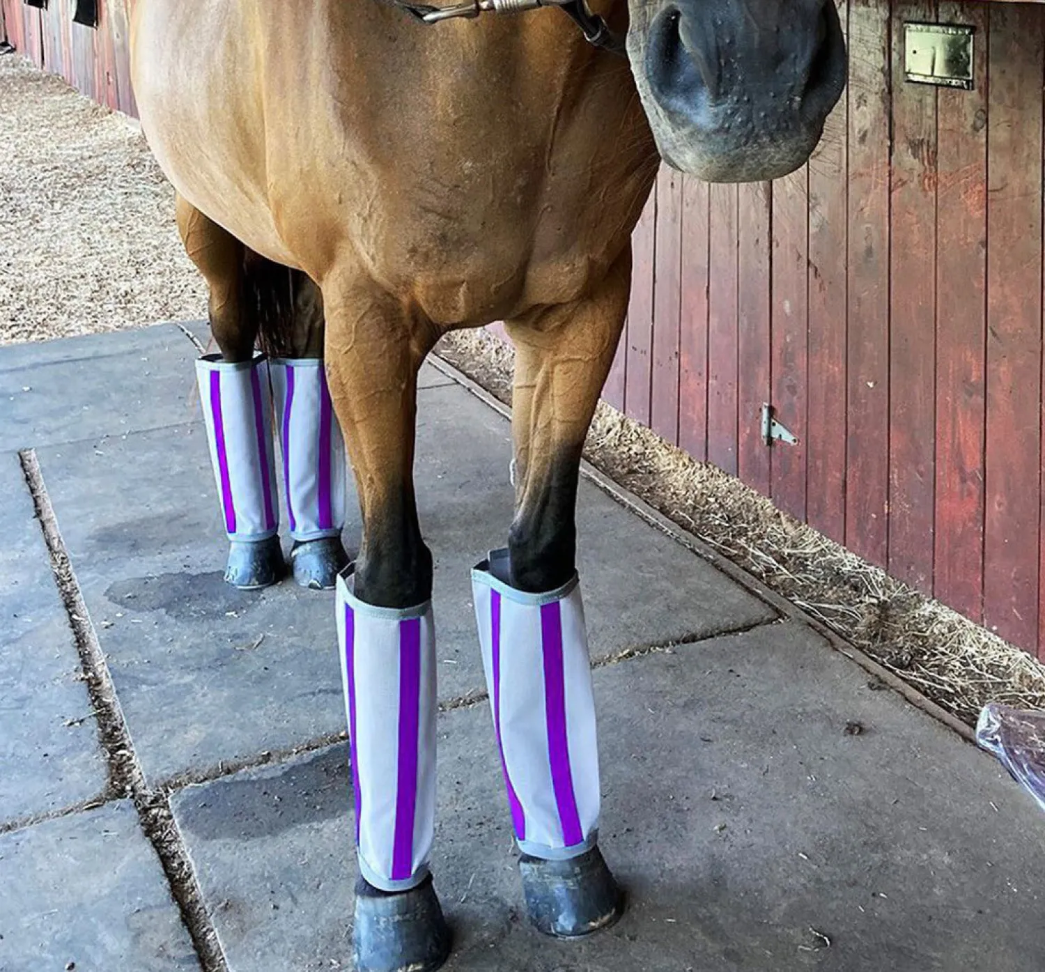 MAJYK EQUIPE ®Fly-Bye Boots Pack of 4 Hot